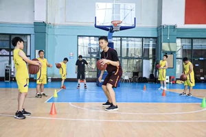  如何找到专业教练进行规范篮球训练：全面指南与实用建议